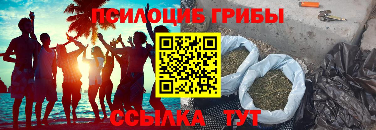 Псилоцибиновые грибы прущие грибы  Галлюциногенные грибы мицелий  Прокопьевск  Вход с VPN 